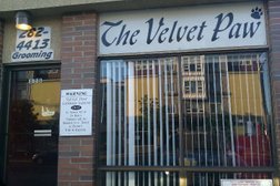 The Velvet Paw Photo