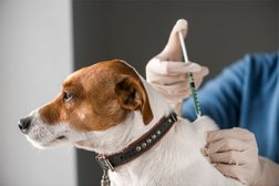 Southwest Veterinary Clinic in Atlanta