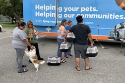 Spay Neuter Network in Fort Worth