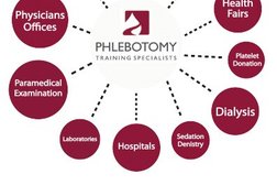 Phlebotomy Training Specialists Photo