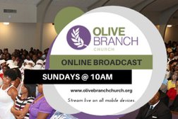 Olive Branch Missionary Baptist Church Photo