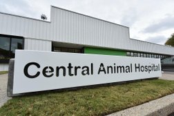 Central Animal Hospital in Memphis