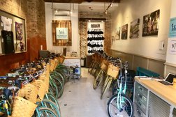 Flambeaux Bicycle Tours & Bike Rentals in New Orleans