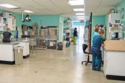 MidCity Veterinary Hospital in New Orleans