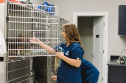 Dogwood Veterinary Clinic in Louisville