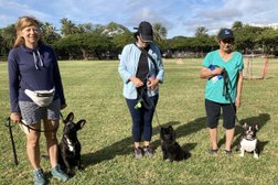 Amiable Dog Training in Honolulu