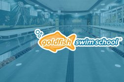 Goldfish Swim School - Columbia Photo