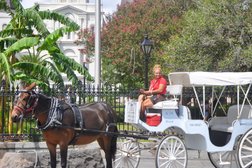 Royal Carriages in New Orleans