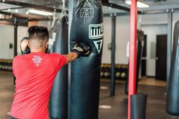 TITLE Boxing Club in Nashville