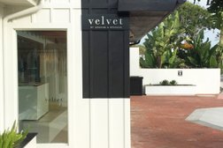 Velvet by Graham & Spencer in Seattle