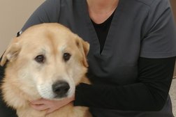 Brookville Road Animal Hospital in Indianapolis